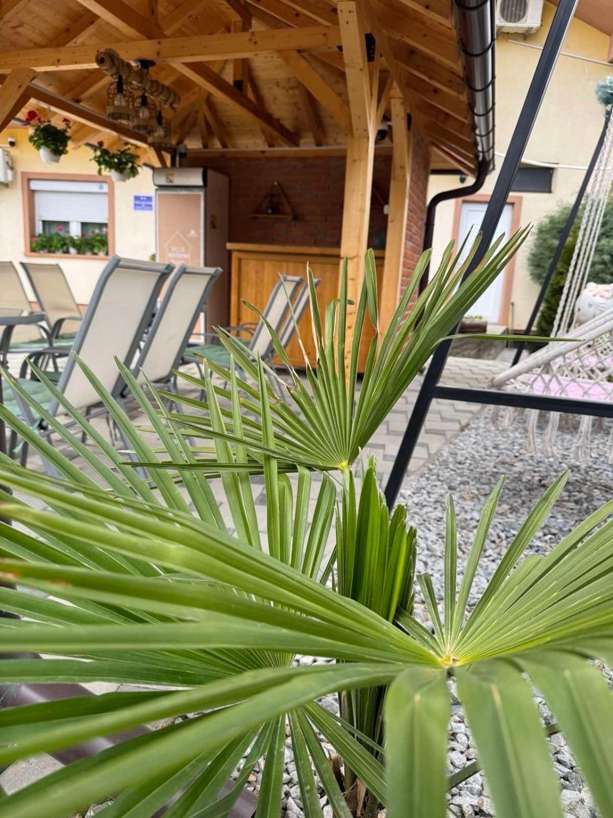 Villa Ristovski Ochryda Zewnętrze zdjęcie